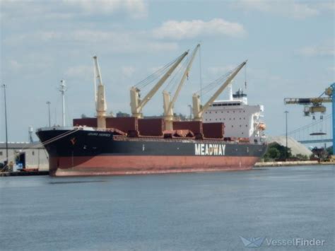 izumo hermes panama